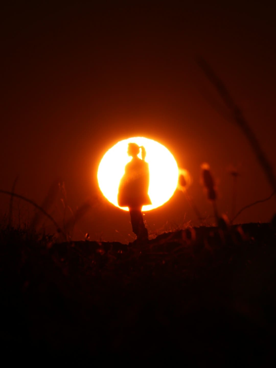 太极股份2025年中报：营收37.82亿元同比增44.69%，净利润扭亏为盈